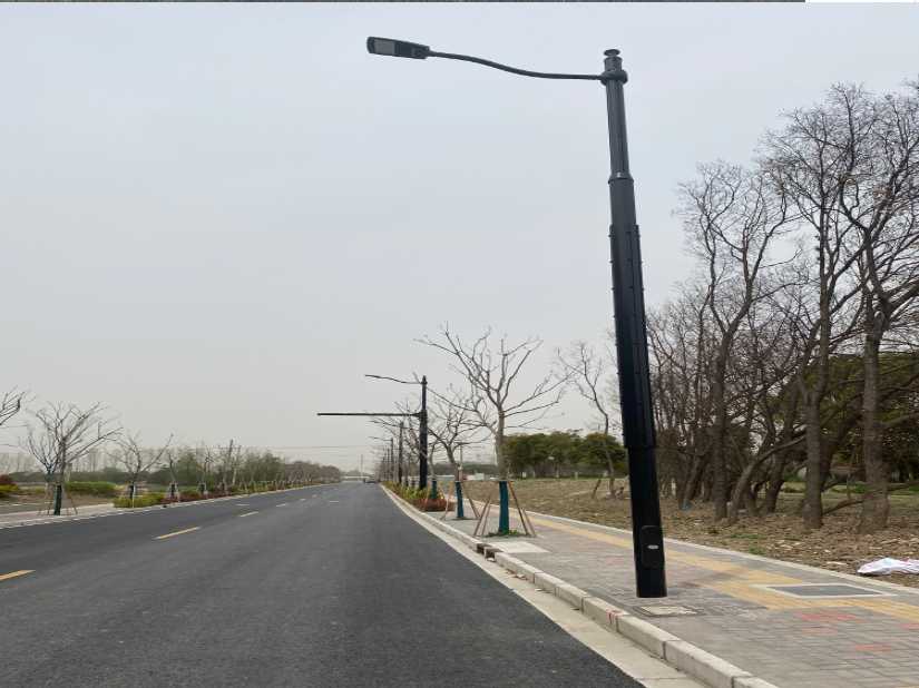 番禺区上海综合杆 太阳能路灯工程
